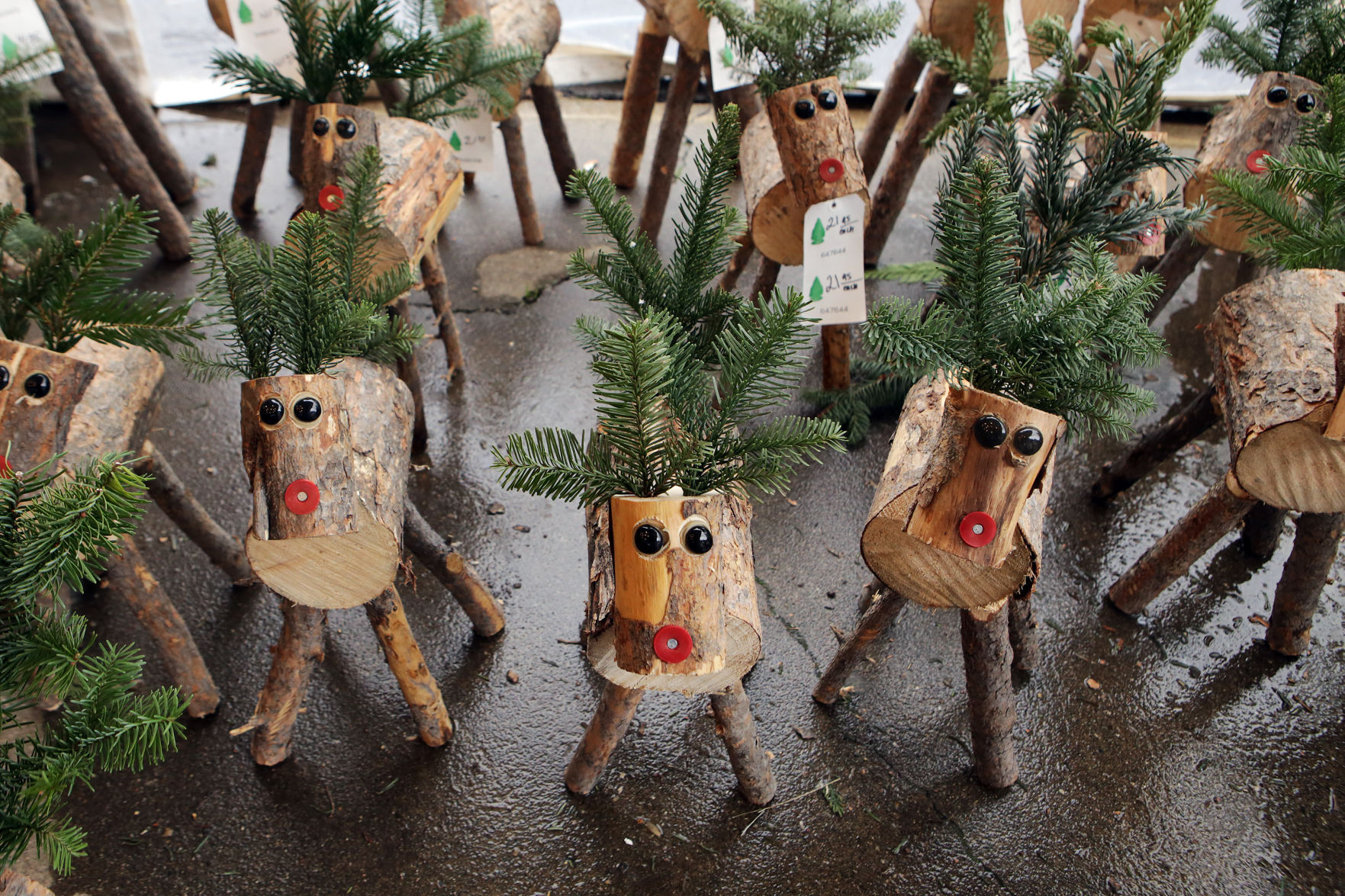 Christmas tree sales in Napa